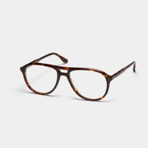 LT23ARIANOCTURNETORTOISE(2)