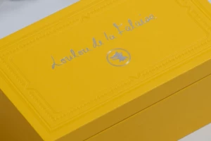 Lunettes de soleil Jacques Marie Mage – étui 7