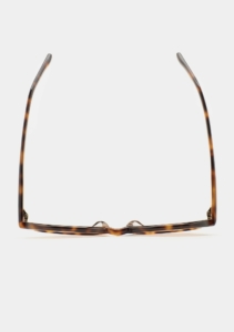 Lunettes de soleil Kaleos Ludwig Havane, vue du dessus